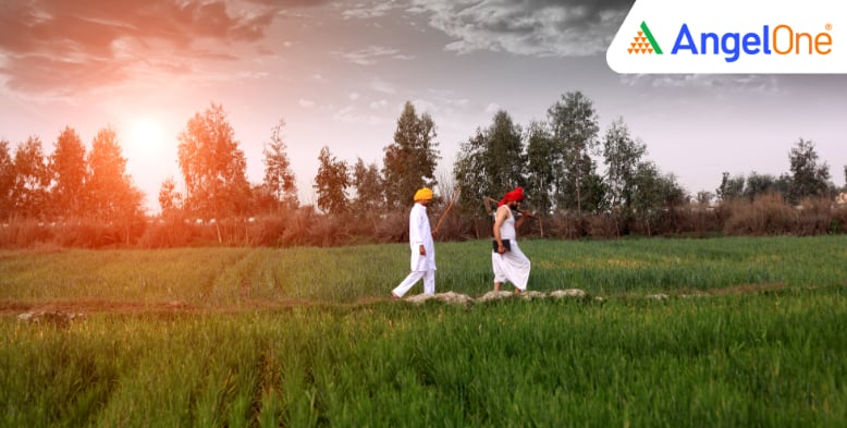PM Kisan 20th Instalment Not Credited? Here's What You Can Do 