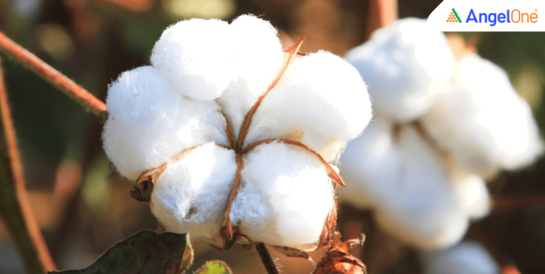 Centre Lifts Cotton Import Duty Until September 30 to Support Textile Industry