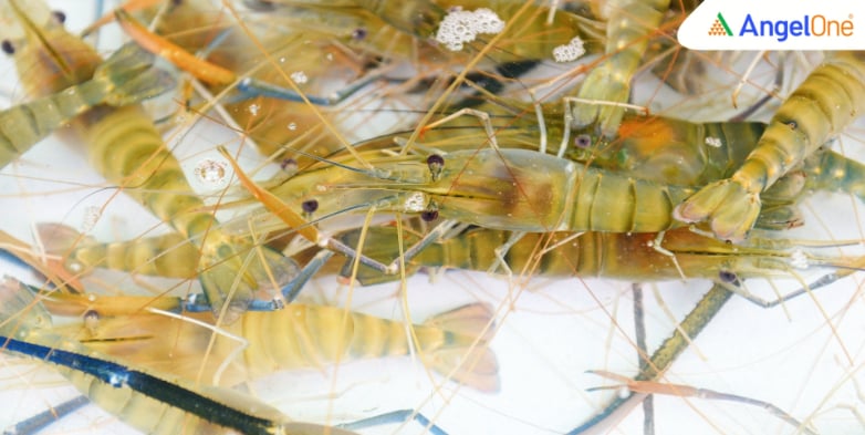 US-introduces-India-Shrimp-Tariff-Act.jpg