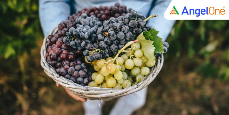 Sula Vineyards Reports Q2 Performance with Record Wine Tourism Figures