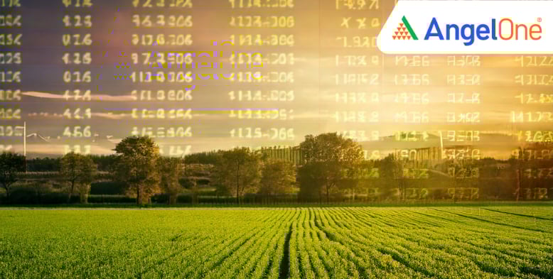 nacl-industries-q2-update-profit-dips-to-3-crore-revenue-at-457-crore