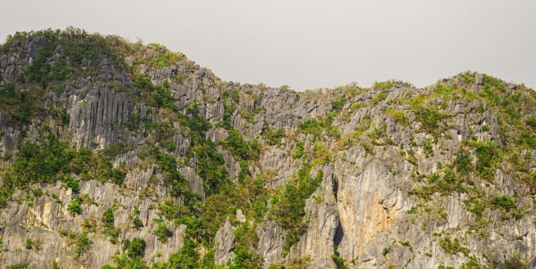 India Achieves Record Mineral Auction Milestone in FY 2025–26 