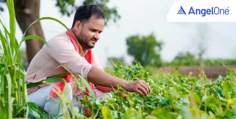 Centre Proposes Changes to Sugarcane Control Order on Mill Distance and Payments