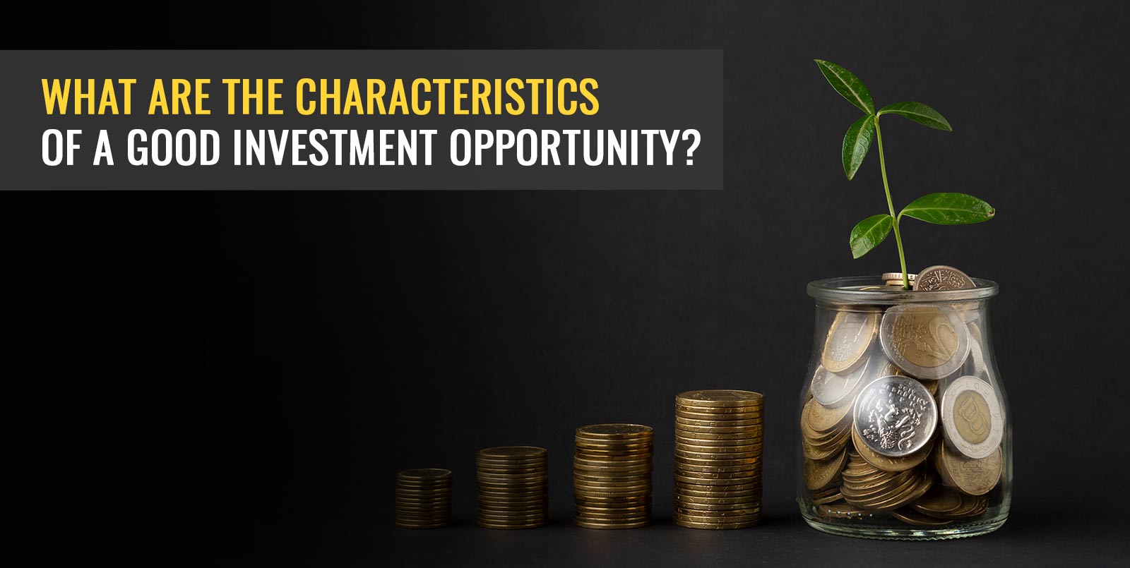 What Is A Good Investment? Characteristics Of A Good Investment