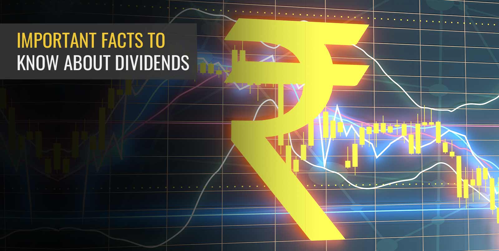 Important Facts to Know about Dividends