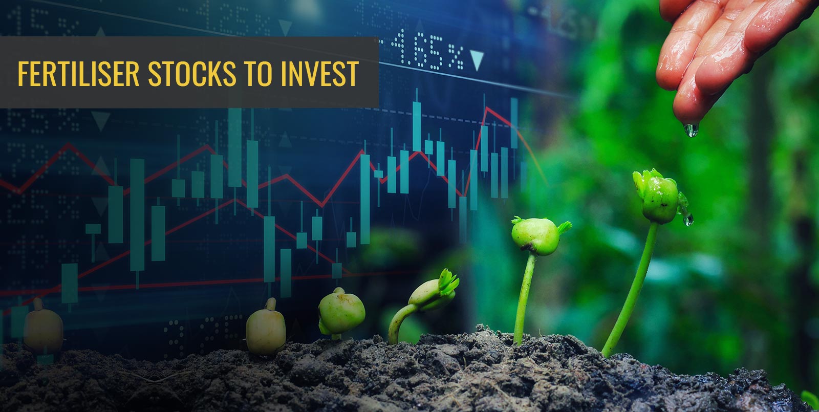 What Are The Best Fertiliser Stocks To Invest? | Angel One