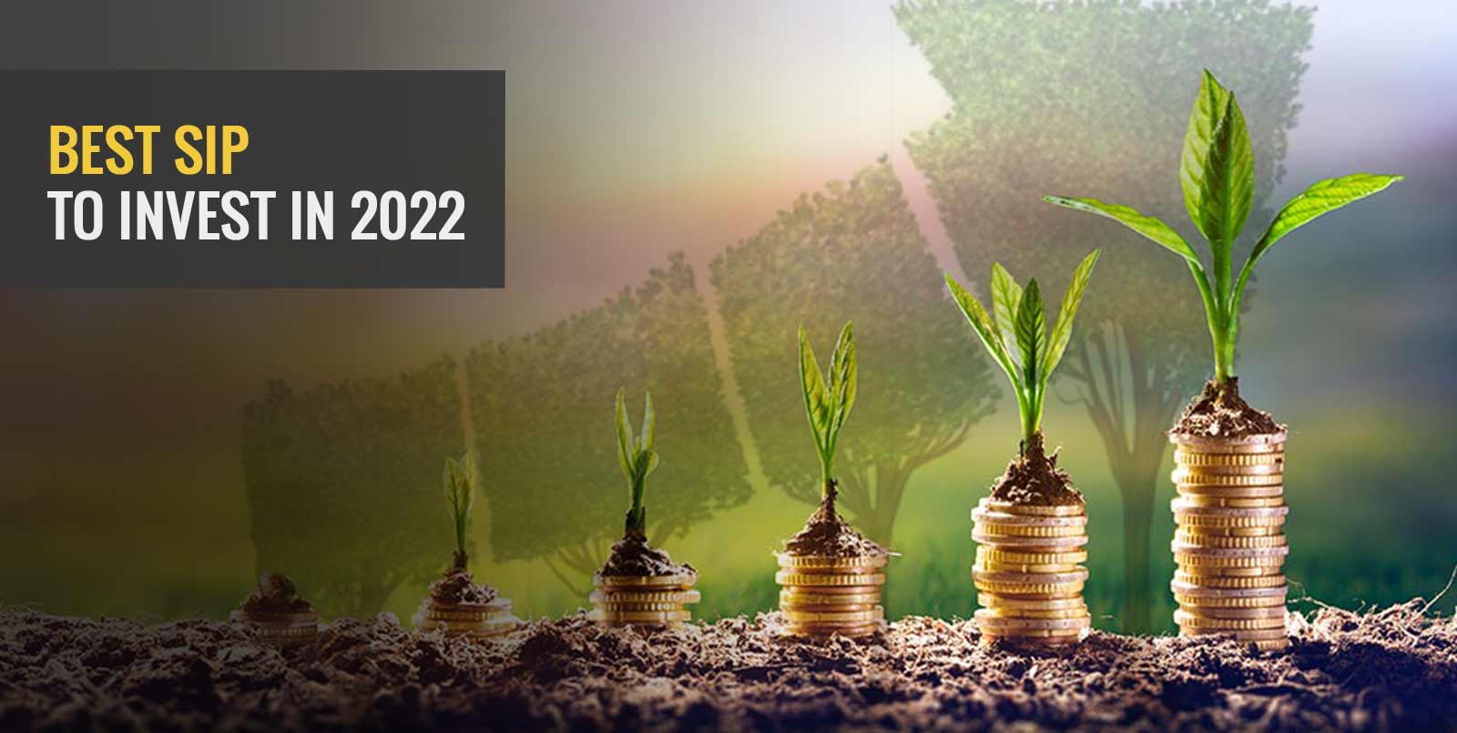 Best Mutual Funds To Invest In 2024 For Sip In India Astrix Zilvia